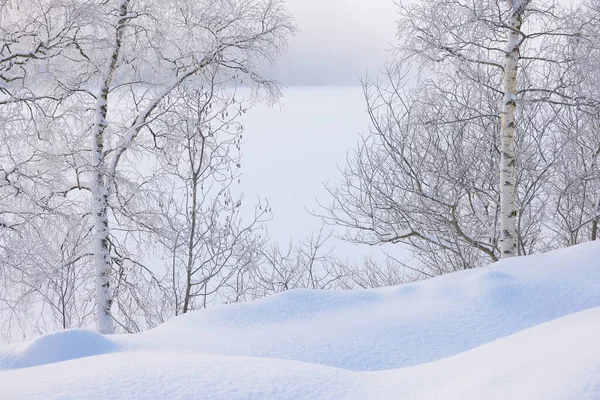 Zimní Mlhavá Krajina Zamrzlého Břehu Jezera Jonsvatnet Trondheimu Norsku Zimní — Stock fotografie