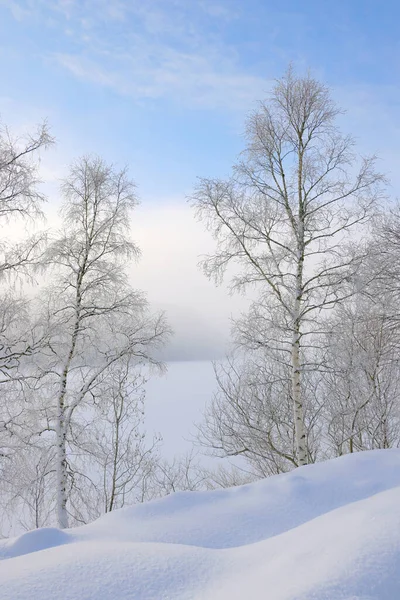 Inverno Nebuloso Paisagem Pelas Margens Congeladas Lago Jonsvatnet Perto Trondheim — Fotografia de Stock
