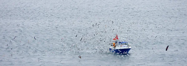 Barco Pesca Cercado Por Gaivotas Mar Arquipélago Lofoten Noruega Europa — Fotografia de Stock