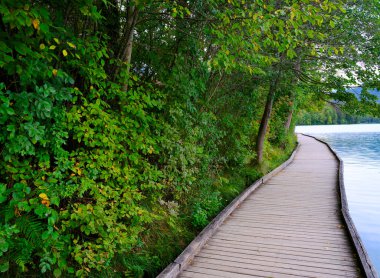Bled Gölü, Slovenya ve Avrupa 'nın yaz manzarası