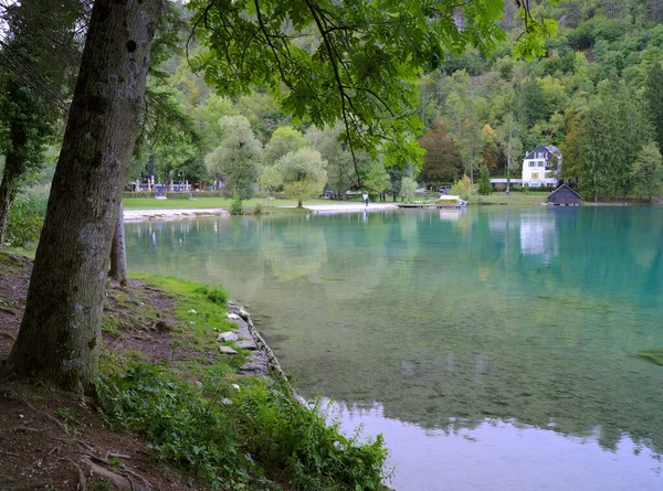 Paisagem Verão Lago Bled Eslovênia Europa — Fotografia de Stock