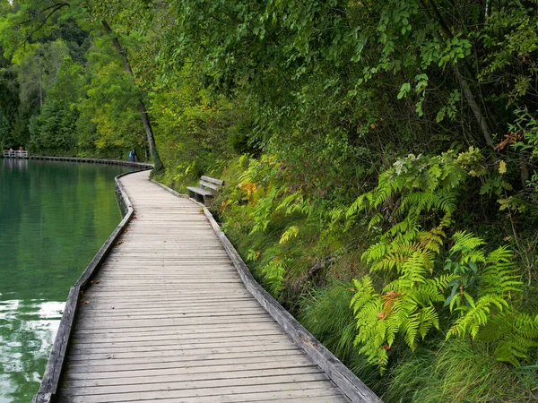 Bled Gölü Slovenya Avrupa Nın Yaz Manzarası — Stok fotoğraf