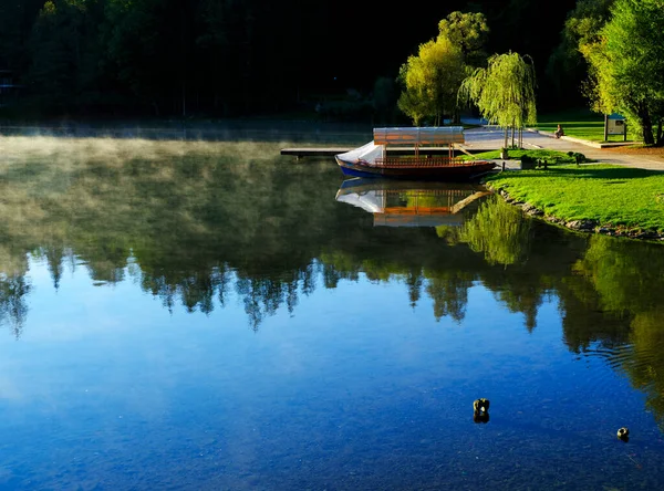 Θερινό Τοπίο Της Λίμνης Bled Σλοβενία Ευρώπη — Φωτογραφία Αρχείου