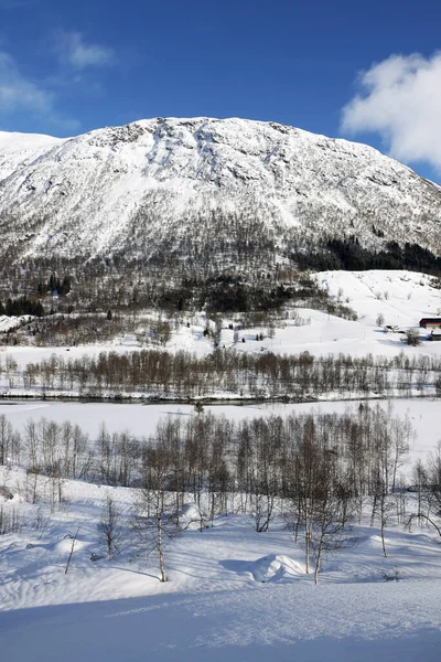 Alpine Vinterlandskap Langs Hemsedal Ruten Norge Europa – stockfoto