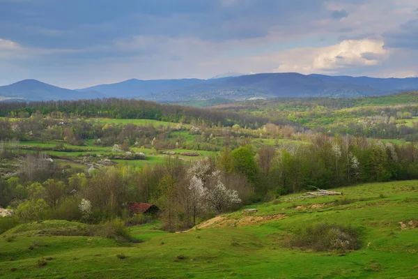 Krajobraz Alpejski Karpatach Zachodnich Transylwanii Rumunii Europie — Zdjęcie stockowe