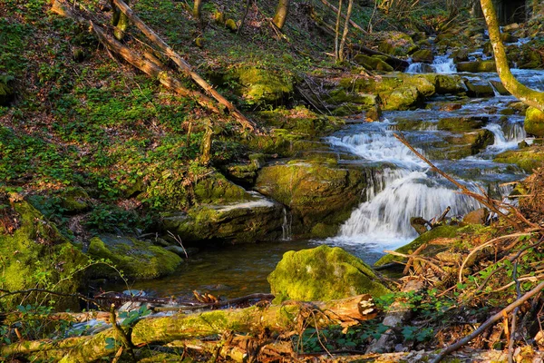 Река Горный Лес Протекает Среди Зеленых Мхов Западных Карпатах Трансильвания — стоковое фото