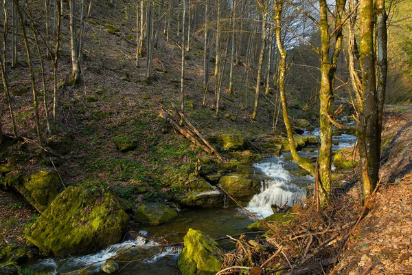 Ποταμός Ορεινών Δασών Ρέει Μεταξύ Των Πράσινων Βρύα Πέτρες Στα — Φωτογραφία Αρχείου