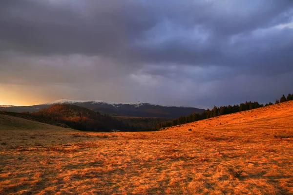 Krajobraz Alpejski Karpatach Zachodnich Transylwanii Rumunii Europie — Zdjęcie stockowe