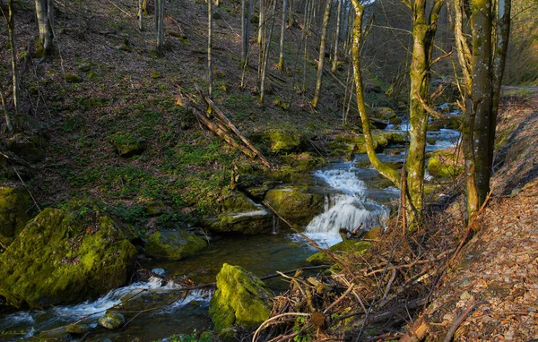 罗马尼亚 特兰西瓦尼亚 西卡伯坦山脉 山林河流流淌在绿色的苔藓石中 森林中的小溪 — 图库照片