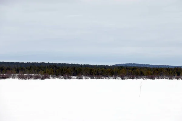 Surowy Zimowy Krajobraz Szwecji Świeżym Powietrzu Europa — Zdjęcie stockowe