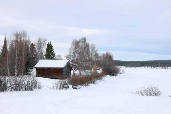瑞典室外寒冷的冬季景观 — 图库照片