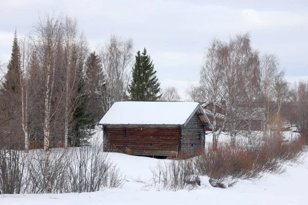 Paisagem Rigorosa Inverno Suécia Livre Europa — Fotografia de Stock