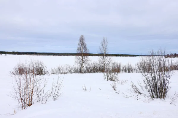 Drsná Zimní Krajina Švédsku Venku Evropa — Stock fotografie