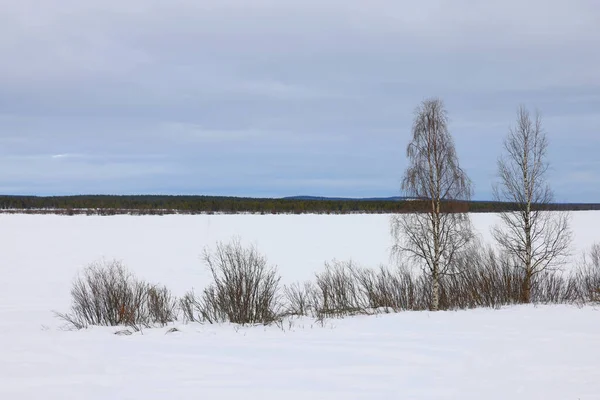 Σκληρό Χειμερινό Τοπίο Στη Σουηδία Εξωτερικούς Χώρους Ευρώπη — Φωτογραφία Αρχείου
