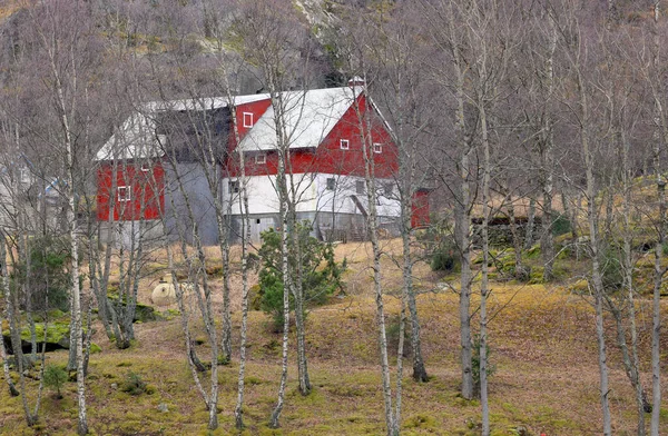 Ferienhaus Norwegen Kleines Norwegisches Dorf Traditionelle Norwegische Architektur — Stockfoto