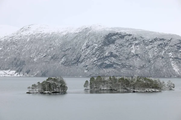 Зимний Суровый Пейзаж Норд Фьорда Норвегии Европе — стоковое фото