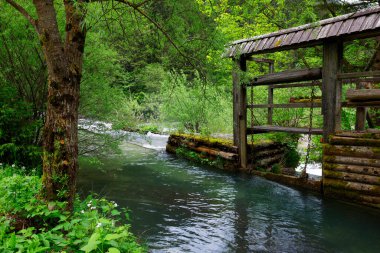 Luce tatil beldesinde geleneksel ahşap mimari, Slovenya, Avrupa
