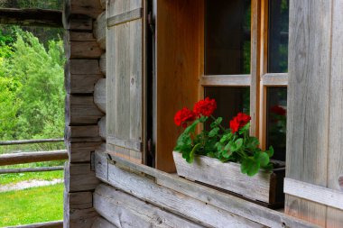 Luce tatil beldesinde geleneksel ahşap mimari, Slovenya, Avrupa