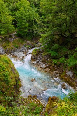 Tolminka Nehri, Tolmin Vadisi 'nden geçerek kuzey batı Slovenya, Avrupa' daki Triglav Ulusal Parkı 'na akar.
