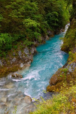 Tolminka Nehri, Tolmin Vadisi 'nden geçerek kuzey batı Slovenya, Avrupa' daki Triglav Ulusal Parkı 'na akar.