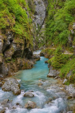 Tolmin Vadisi 'nin güzel manzarası. Tolmin, Slovenya ve Avrupa 'nın derin vadilerinde temiz dağ nehri olan görkemli bir manzara.