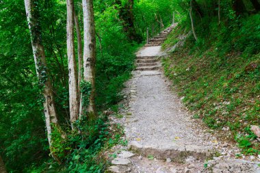 Tolminka Nehri, Tolmin Vadisi 'nden geçerek kuzey batı Slovenya, Avrupa' daki Triglav Ulusal Parkı 'na akar.
