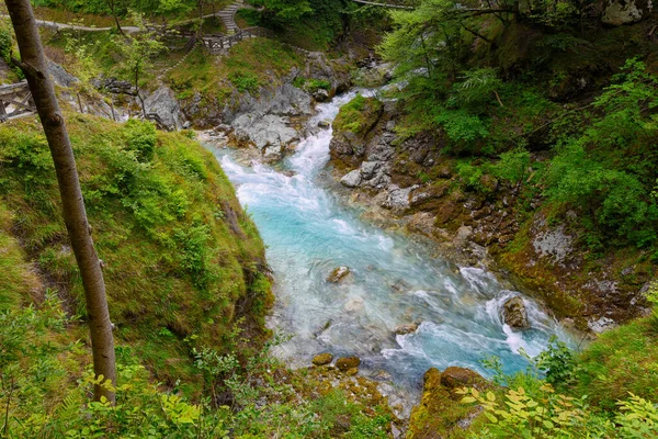 Όμορφο Τοπίο Των Φαραγγιών Tolmin Μαγευτικό Τοπίο Καθαρό Ορεινό Ποτάμι — Φωτογραφία Αρχείου