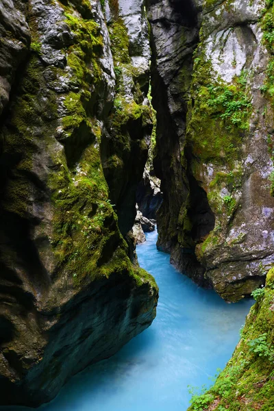 Tolminka River Flowing Tolmin Gorge Triglav National Park North Western — Stock Photo, Image