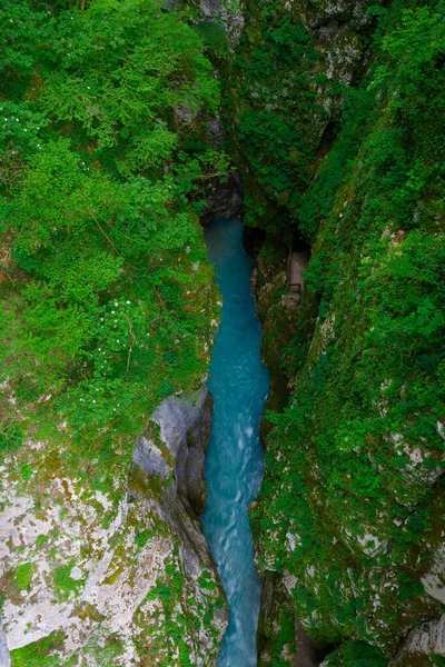 슬로베니아 북부의 공원에 협곡을 통과하여 흐르는 — 스톡 사진