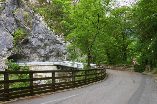 托尔敏峡谷美丽的风景 斯洛文尼亚托尔敏深谷的壮丽风景与清澈的山川 — 图库照片