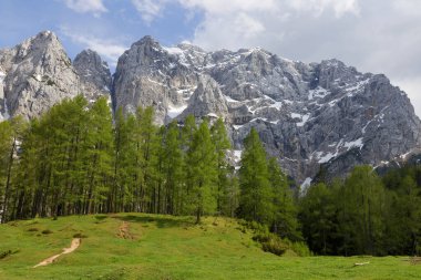 Güneşli bir yaz gününde Triglav Natiobal Park manzarası. Julian Alpleri 'nin nefes kesici zirveleri. Triglav Ulusal Parkı, Slovenya