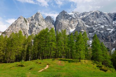 Güneşli bir yaz gününde Triglav Natiobal Park manzarası. Julian Alpleri 'nin nefes kesici zirveleri. Triglav Ulusal Parkı, Slovenya