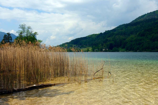 Θορυβώδες Τοπίο Των Άλπεων Κοντά Στη Λίμνη Mondsee Στην Αυστρία — Φωτογραφία Αρχείου