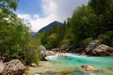Velika Korita ya da Slovenya 'nın Bovec kentindeki Soca Nehri' nin Büyük Kanyonu. Ormanla çevrili kanyondan akan güzel turkuaz nehir akıntıları. Soca Nehri, Triglav Ulusal Parkı, Julian Alps, Slovenya, Avrupa