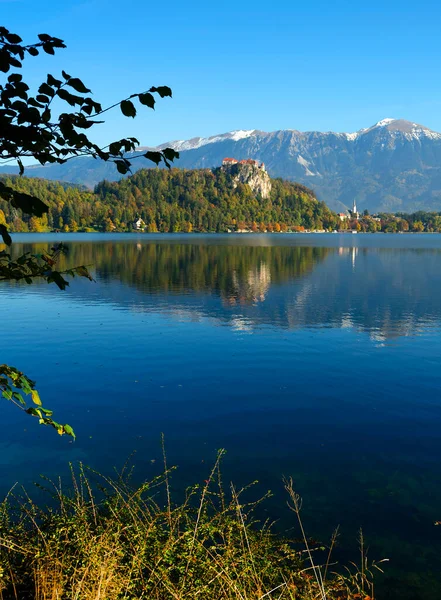 Τουριστική Άποψη Του Φθινοπώρου Της Λίμνης Bled Στη Σλοβενία Ευρώπη — Φωτογραφία Αρχείου