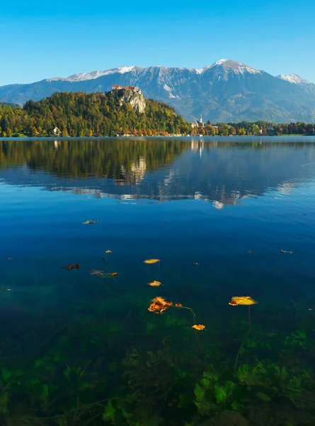Turisti Syksyllä Näkymä Järvelle Bled Sloveniassa Eurooppa — kuvapankkivalokuva