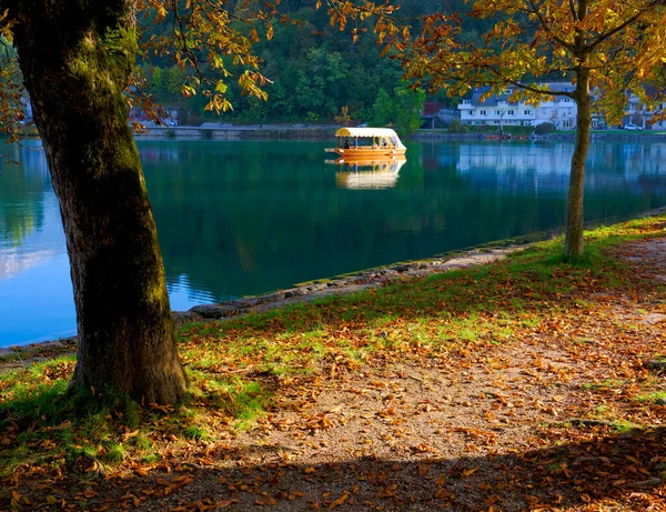 Turystyczny Widok Jesieni Jeziora Bled Słowenii Europa — Zdjęcie stockowe