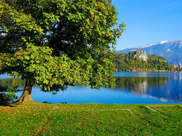 Vista Turística Outono Lago Bled Eslovénia Europa — Fotografia de Stock