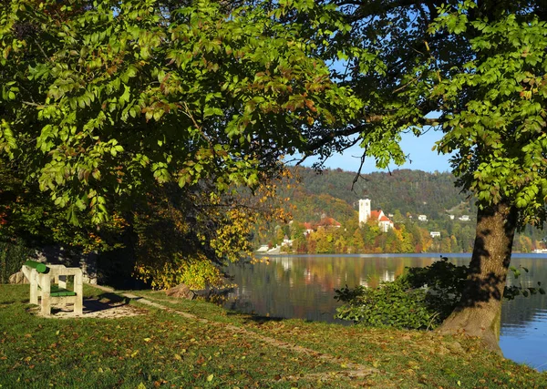 Herfst Kleuren Bij Bled Lake Slovenja Europa — Stockfoto