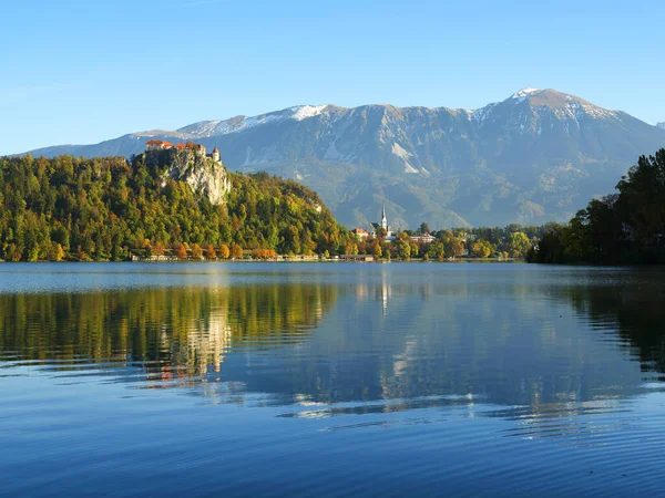 Herbstfarben Bleder See Slowenien Europa — Stockfoto