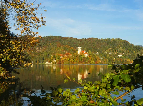 Jesienne Kolory Nad Jeziorem Bled Slovenja Europa — Zdjęcie stockowe