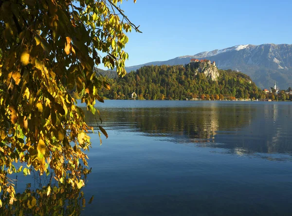 Höstfärger Vid Bled Lake Slovenja Europa — Stockfoto