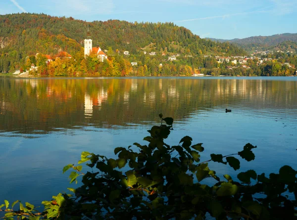 Осенние Цвета Bled Lake Словения Европа — стоковое фото