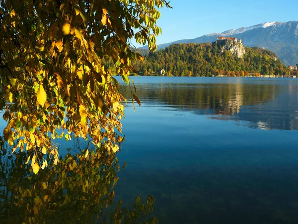 Höstfärger Vid Bled Lake Slovenja Europa — Stockfoto