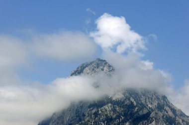 Gmunden, Avusturya, Avrupa yakınlarındaki Traunstein Dağı 'nın yaz manzarası