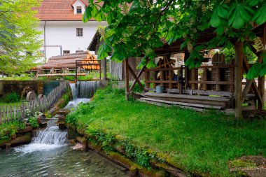 Luce, Slovenya ve Avrupa 'daki Savinja nehri ve vadisi manzarası