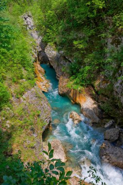 Velika Korita ya da Slovenya 'nın Bovec kentindeki Soca Nehri' nin Büyük Kanyonu. Ormanla çevrili kanyondan akan güzel turkuaz nehir akıntıları. Soca Nehri, Triglav Ulusal Parkı, Julian Alps