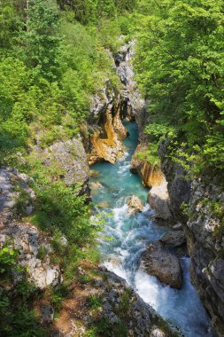 Velika Korita ya da Slovenya 'nın Bovec kentindeki Soca Nehri' nin Büyük Kanyonu. Ormanla çevrili kanyondan akan güzel turkuaz nehir akıntıları. Soca Nehri, Triglav Ulusal Parkı, Julian Alps