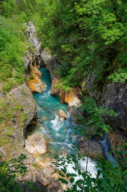 Velika Korita ya da Slovenya 'nın Bovec kentindeki Soca Nehri' nin Büyük Kanyonu. Ormanla çevrili kanyondan akan güzel turkuaz nehir akıntıları. Soca Nehri, Triglav Ulusal Parkı, Julian Alps