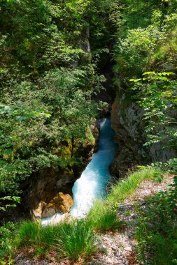 Velika Korita ya da Slovenya 'nın Bovec kentindeki Soca Nehri' nin Büyük Kanyonu. Ormanla çevrili kanyondan akan güzel turkuaz nehir akıntıları. Soca Nehri, Triglav Ulusal Parkı, Julian Alps
